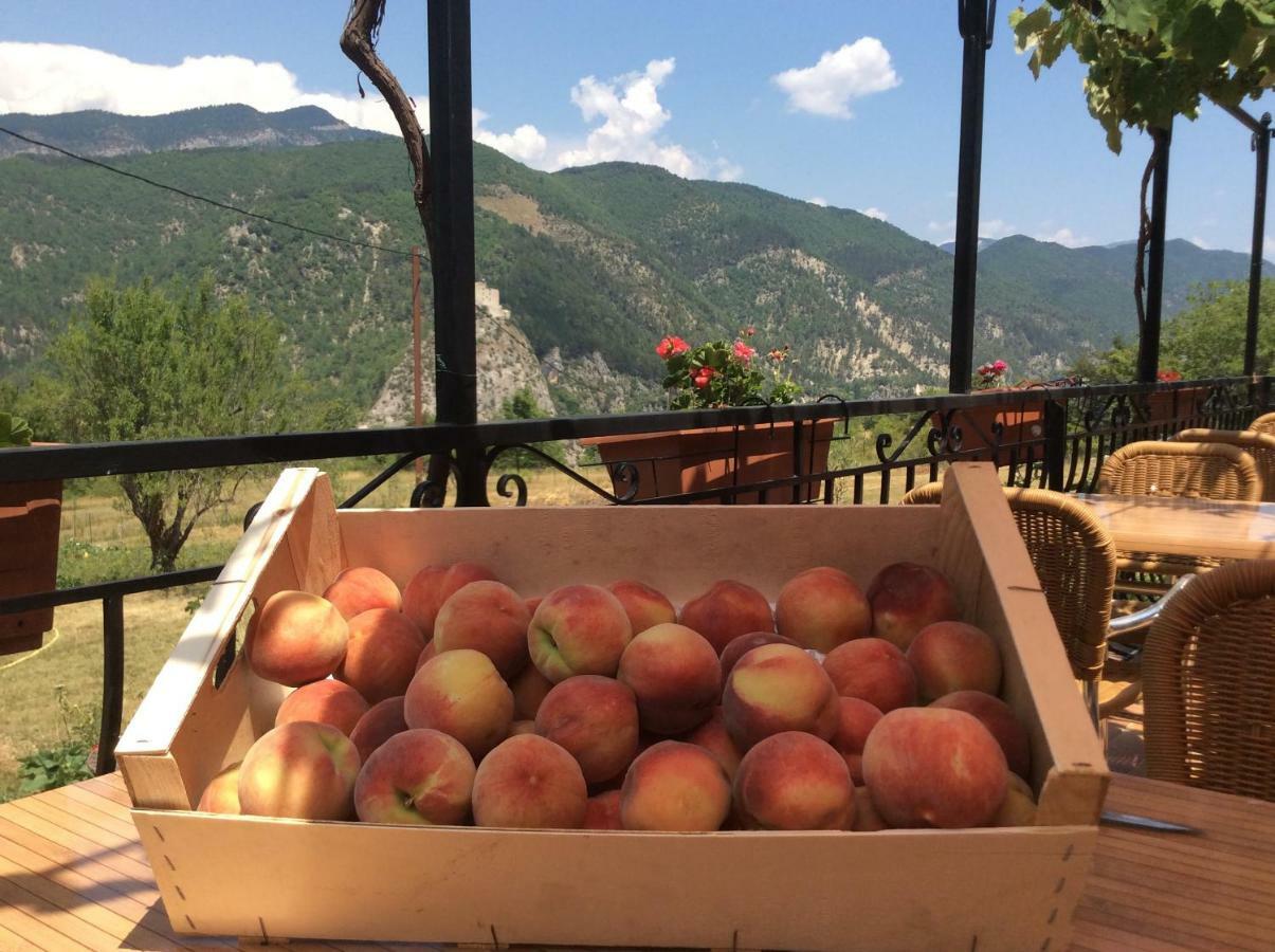 Appartement Clot De Felines Entrevaux Eksteriør billede